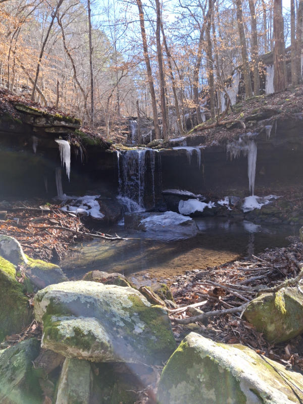 lower stepp creek falls